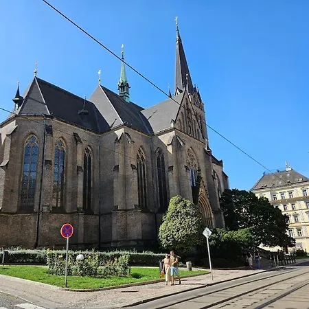 Artistic Designer Zizkov