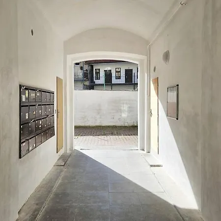 Artistic Designer Zizkov 아파트
