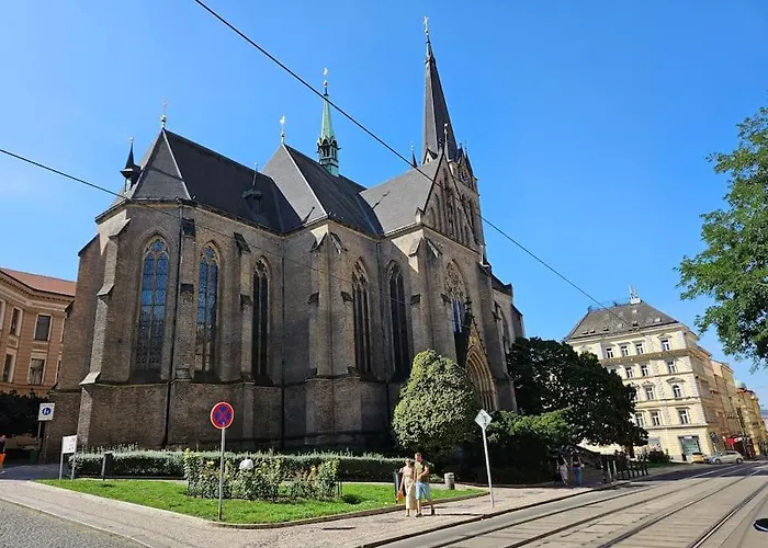 Artistic Designer Zizkov